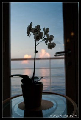 SilverWhisper AtSea 16+