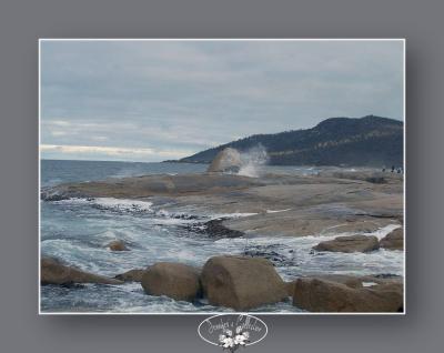 day 2 - Bicheno blowhole