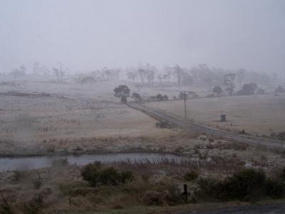 tasmania day 7 025.jpg