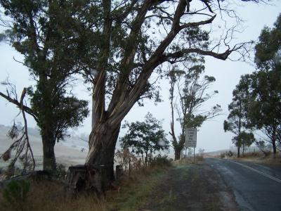 tasmania day 7 030.jpg