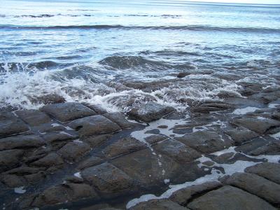 tasmania day 8 014.jpg