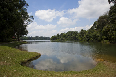 MacRitchie Reservoir, Singapore.
