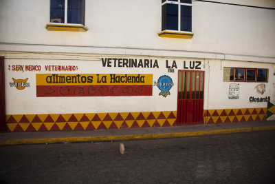 Hand painted signs on a vet shop in Tlachichuca.