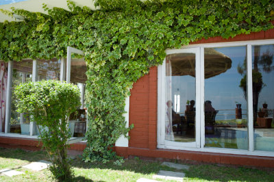 L1001435.jpg
