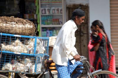 With the bird-flu scare, stay away from this man