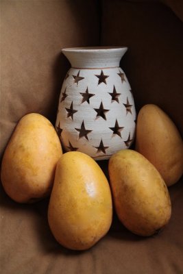 MANGOS ARRINCONADOS