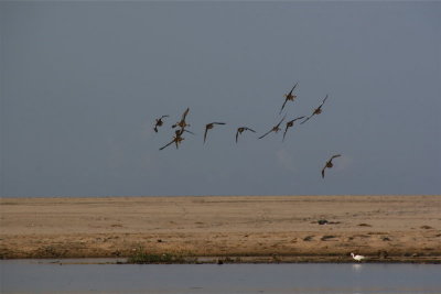 MIGRACION