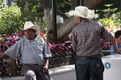 PALETEROS - ZOCALO CHILPANCINGO