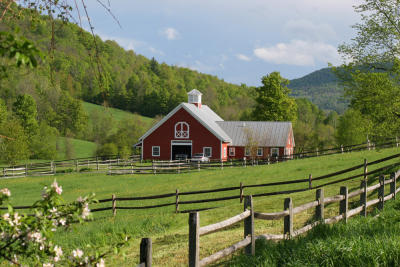 Vermont Perfection