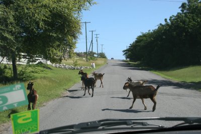 Sharing the Road in St. Johns