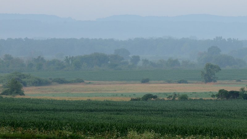 Steamy day - Southwest Wisconsin