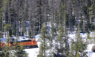 Through the Snow Fields