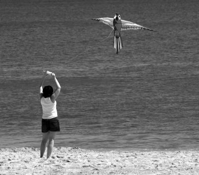 Renoboth Beach Kite Flying