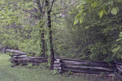 Civil War Era Fences