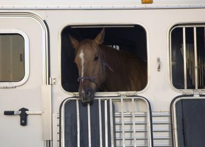 Horse Trailer