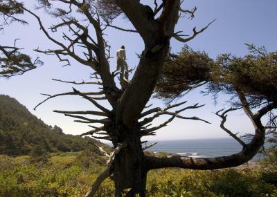 High view from Rocky Creek