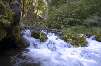 Rushing Waters