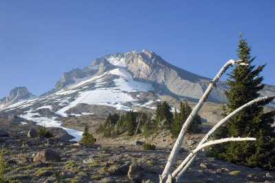 Mt Hood from Timberline Lodge