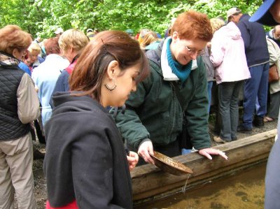 Panning for Gold