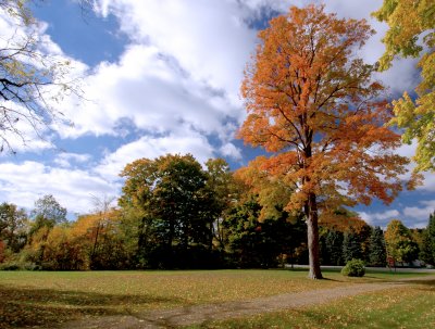 Battle Creek Park