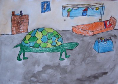 turtle, Angus McLean, age:6