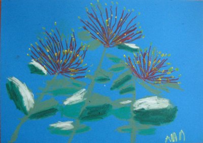 Pohutukawa, Ann McLean, age:6