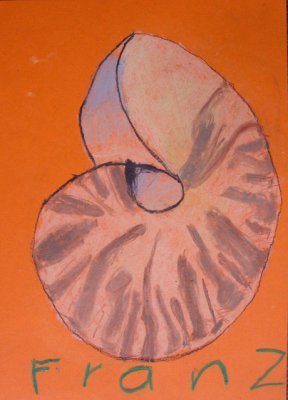 seashell, Franz, age:6