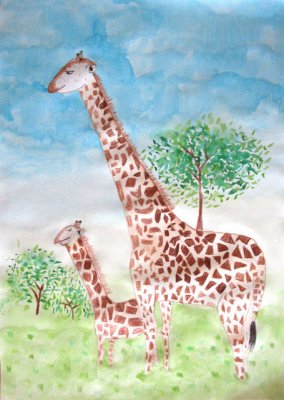giraffe, Sindy, age:8.5