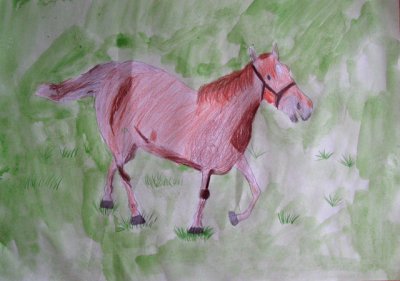 horse, Yu Chen, age:10