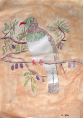 bird, Yu Chen, age:9
