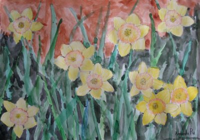 Daffodil, Amanda Pu, age:7