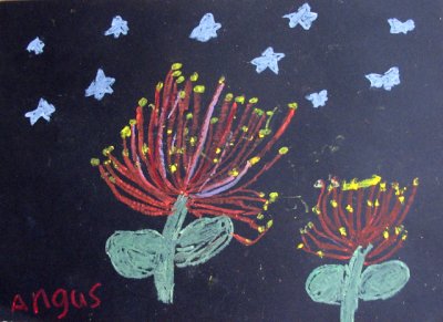 Puhutukawa, Angus, age:6