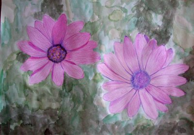 flower, Cindy, age:9