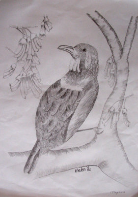bird, Helen, age:8