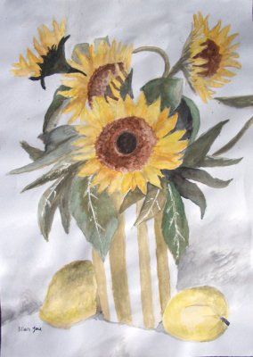 Sunflower, Allan, age:16