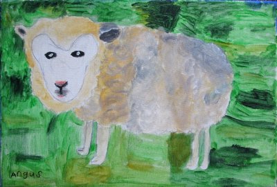 sheep, Angus, age:6.5
