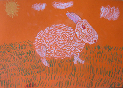 rabbit, Ann, age:6.5