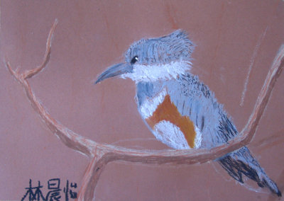 bird, Chen Yi, age:9