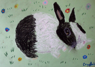 rabbit, Crystal, age:7