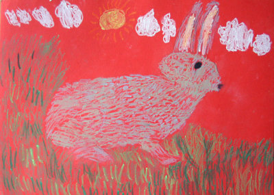 rabbit, David, age:5.5