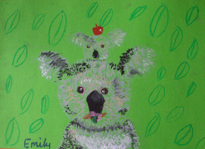 koala, Emily, age:8.5