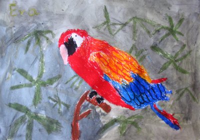 parrot, Eva, age:5