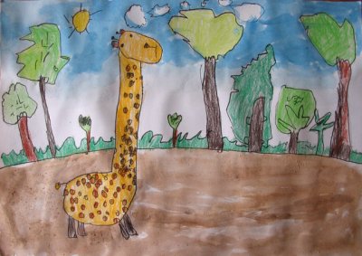 giraffe, Lucus, age:4.5