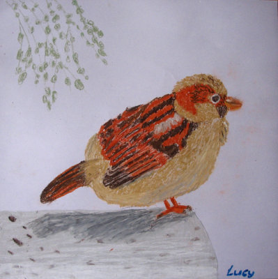 bird, Lucy Chen, age:7.5