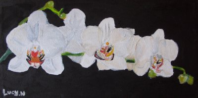 g4/78/632378/3/136654907.elwe66Ht.jpg
