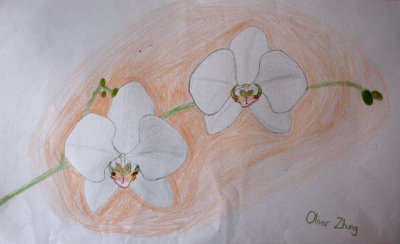 Orchid, Oliver Zhang, age:7.5