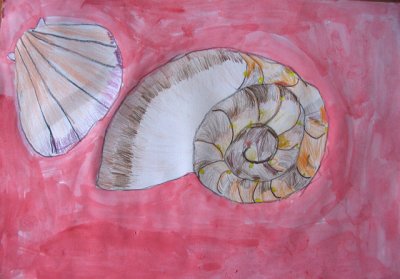 shell, Selina, age:6