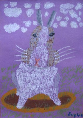 rabbit, Sophia He, age:7