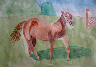 horse, Sophia Su, age:8.5