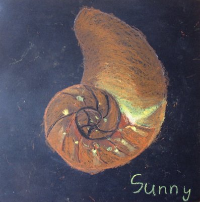 shell, Sunny, age:7